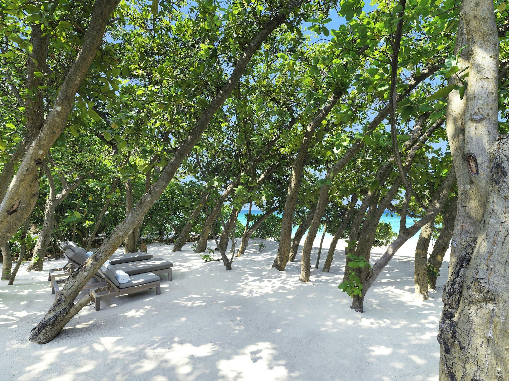 Vakkaru Maldives - 30 Percent Off On Seaplane Transfers For Stays Until 19 Dec 2025 Thulhaadhoo Ngoại thất bức ảnh